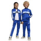 team royal blue